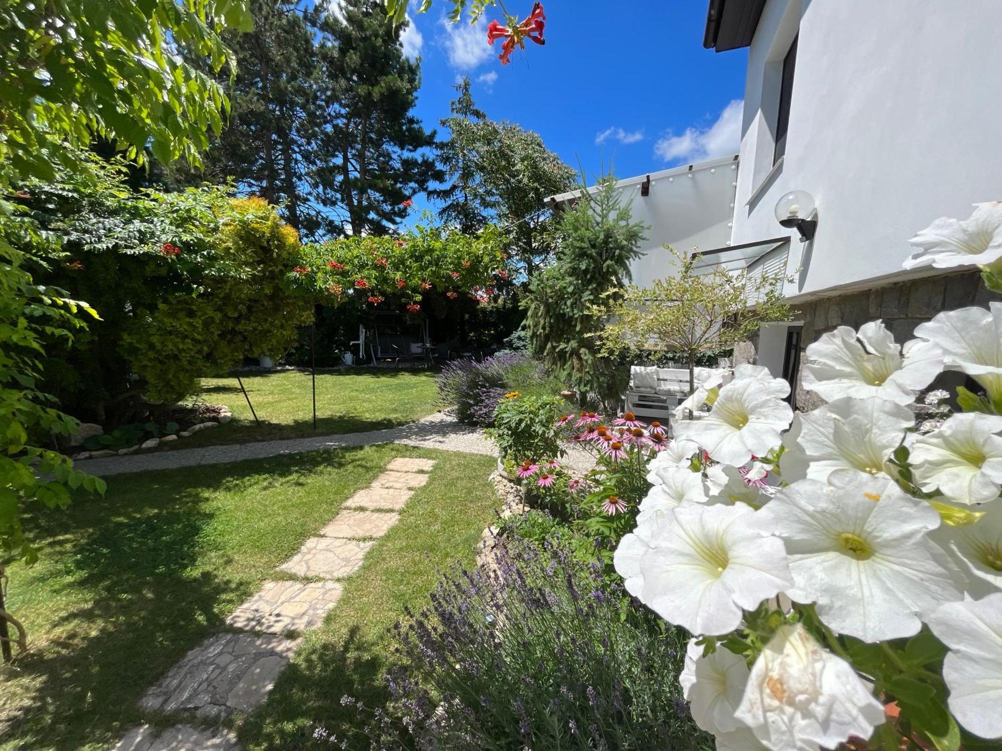 Relaxacni Studio Vera S Ubytovanim Valtice Exterior foto