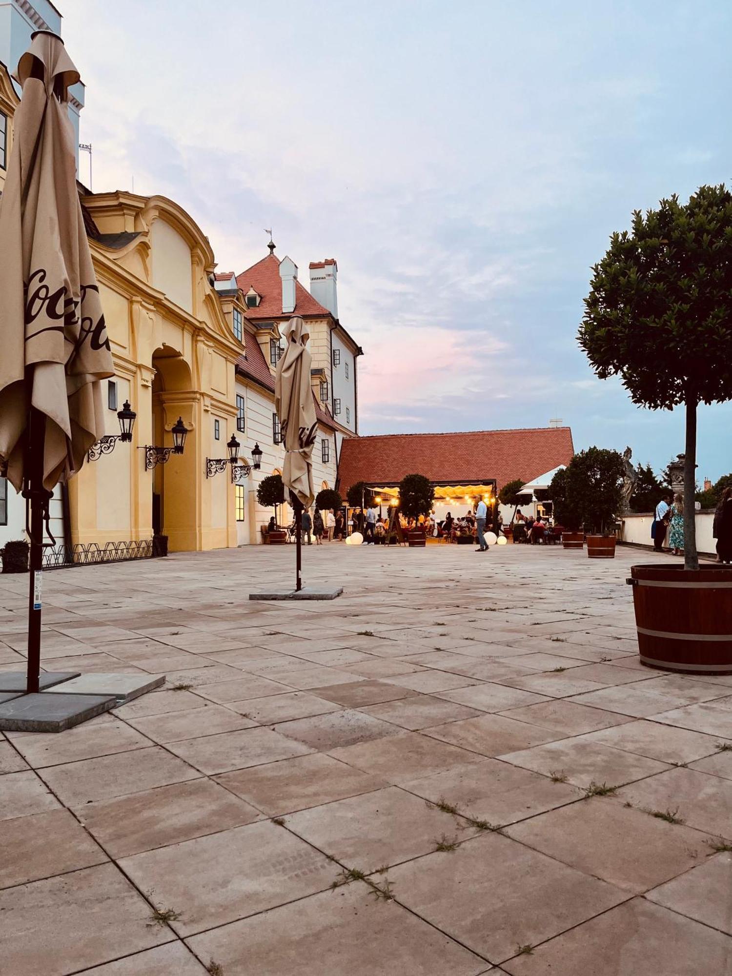 Relaxacni Studio Vera S Ubytovanim Valtice Exterior foto
